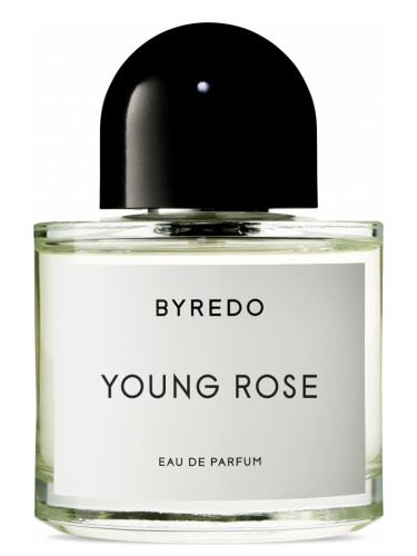 Young Rose Byredo perfume - a fragrance for women and men 2021