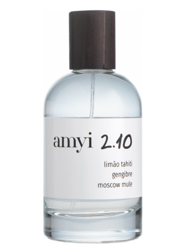 Amyi 2.10 Amyi