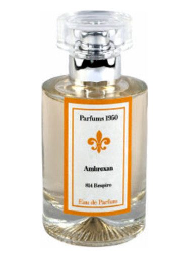 Ambroxan 814 Respiro Parfums Bombay 1950 perfume - a fragrance for