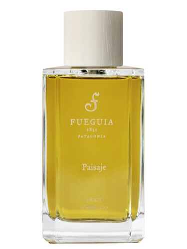 Paisaje Fueguia 1833