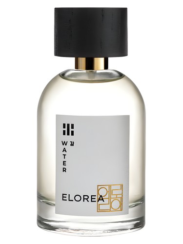 WATER (감) ELOREA | 향수
