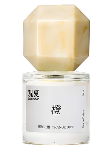 Orange Dive To Summer | 观夏