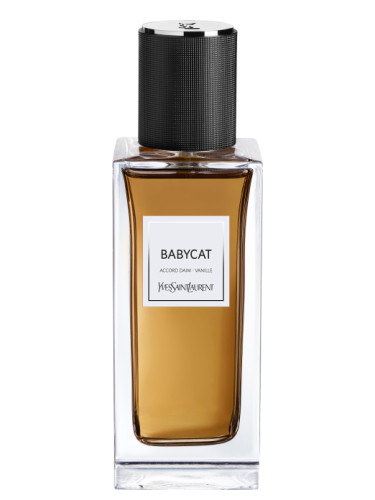 Babycat Yves Saint Laurent perfume - a new fragrance for women and men 2022