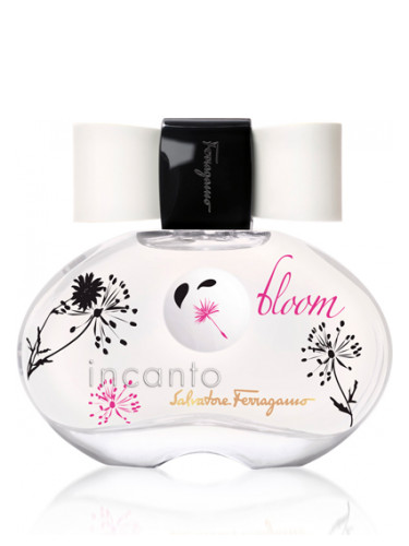 incanto bloom review