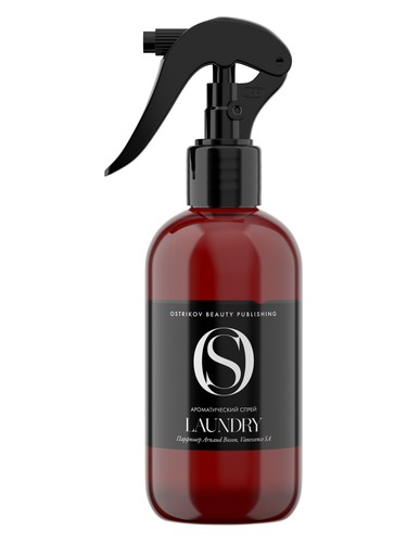 Laundry Ostrikov Beauty Publishing