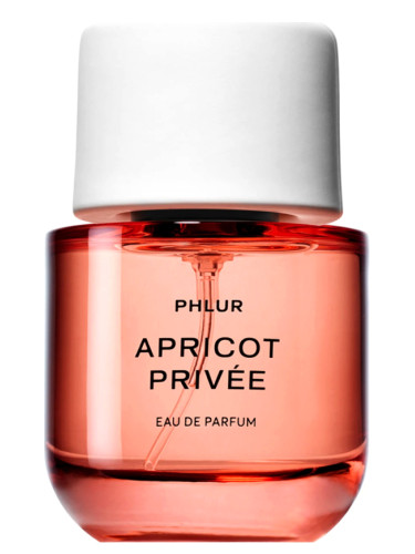 Apricot & Peaches Premium Grade Fragrance Oil - 10ml - Scented Oil