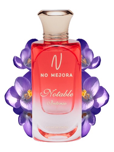 Notable Intenso No Mejora