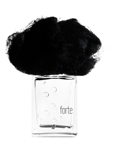 Pioggia Forte Filippo Sorcinelli for women and men