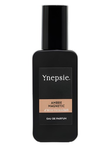 Ambre Magnetic Ynepsie