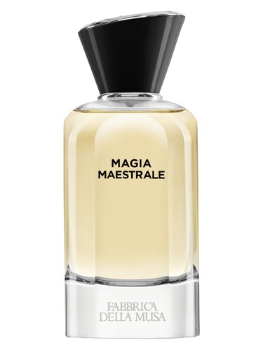 Magia Maestrale Fabbrica Della Musa for men