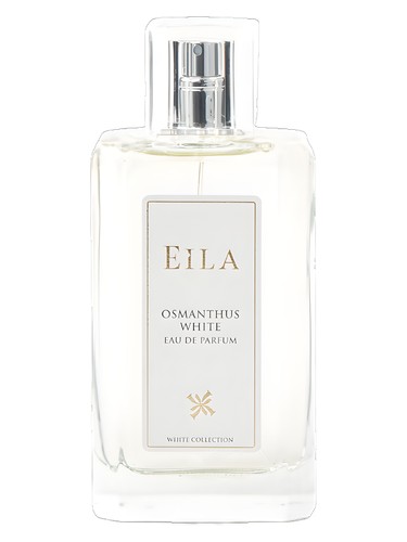 Osmanthus White Eila