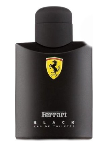 Fragrantica polo clearance black