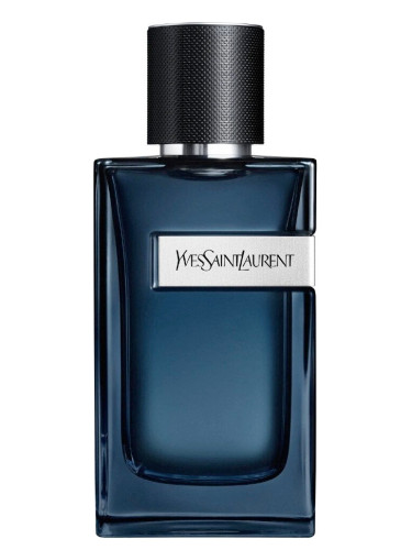 Y Eau de Parfum Intense Yves Saint Laurent cologne - a new fragrance for  men 2023