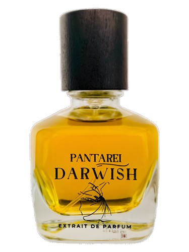 PantaRei Darwish PantaRei for men