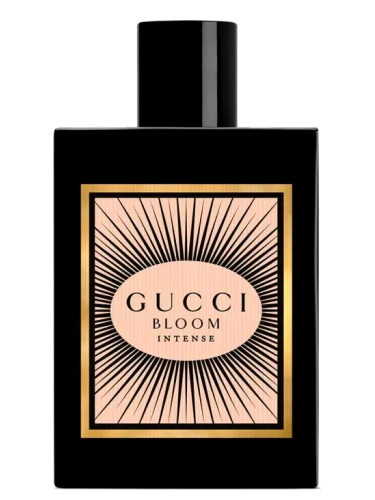  Gucci Bloom Ambrosia di Fiori Women 3.3 oz EDP Spray : Beauty  & Personal Care