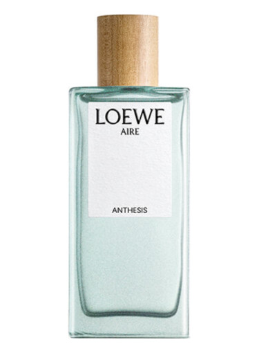 Aire Anthesis Loewe perfume - a new fragrance for women and men 2023