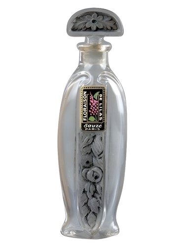 Floraison de Lilas by Sauze