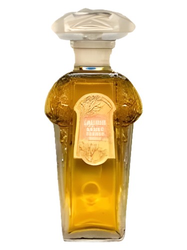Lauris Sauzé for women