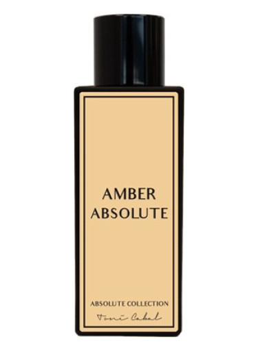 Amber absolute online