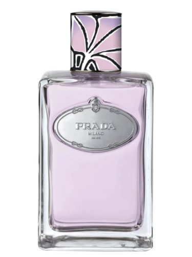 Prada Milano Infusion D'homme Fragrance for Men 1.7 oz EDT Spray