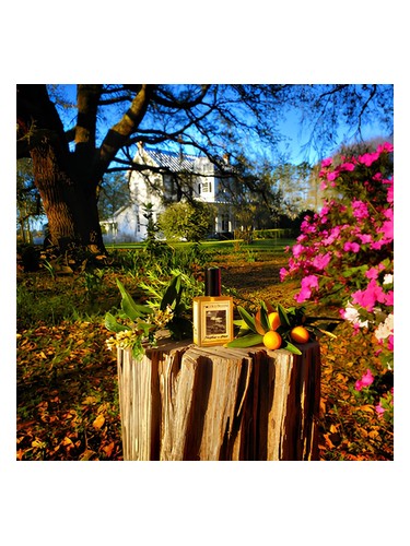 Farmhouse In Spring Solstice Scents for women and men