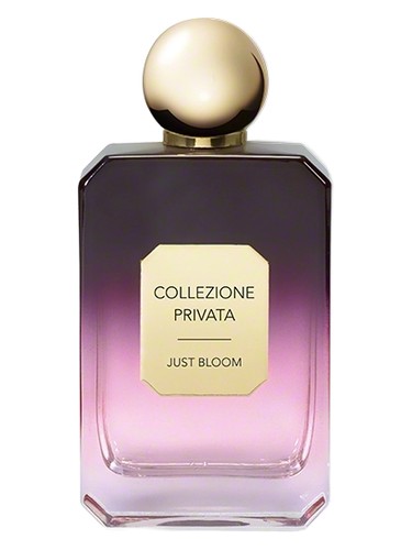 Just Bloom Valmont