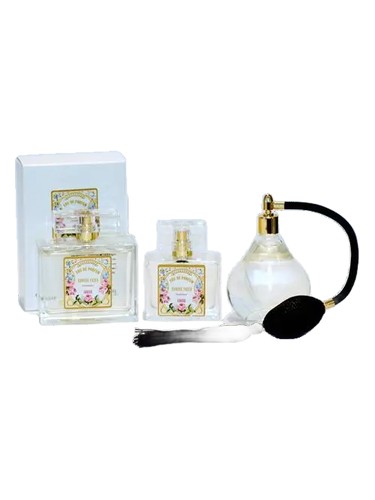 Honore Payan Jeunesse