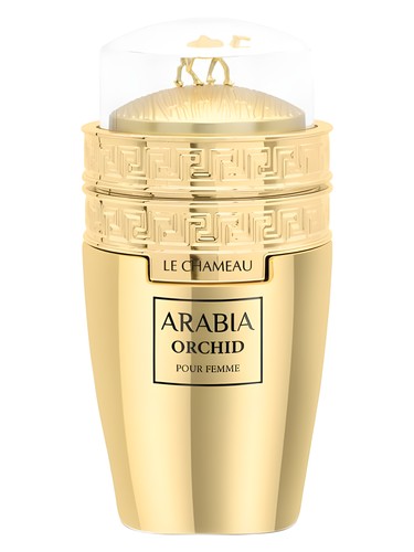 Le Chameau Arabia Orchid