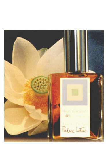 Padme perfume new arrivals