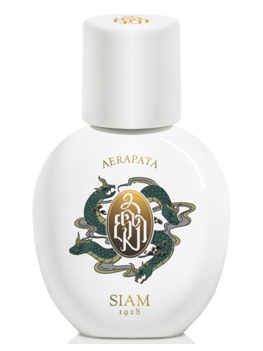 Aerapata SIAM 1928