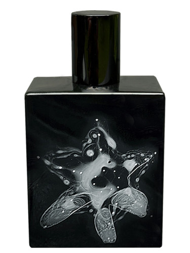 Narcis Nocturne Space Fluid