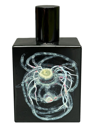 High to Lotus Space Fluid