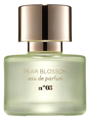 Pear Blossom Mix:Bar perfume - a new fragrance for women 2023