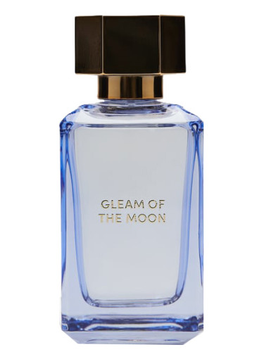 NOW Rave Women Arabian Perfume 100ml - Eau De Parfum brand new by Latt –  T40 Perfume London