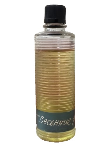 Pavasara strauti (Весенние ручьи) Dzintars