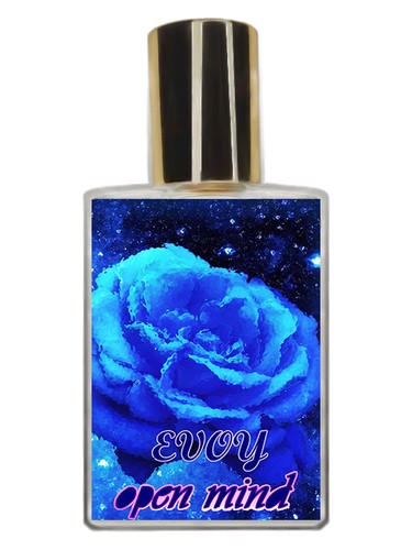 Open Mind EVOY