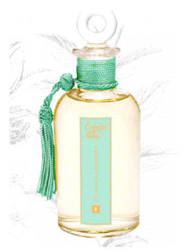 Flor de Campos Ibiza perfume - a fragrance
