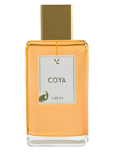 Laboya Paris Coya