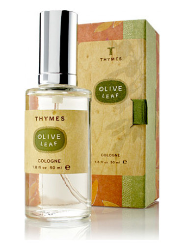 Thymes Hand Lotion - 8.25 Fl Oz - Olive Leaf