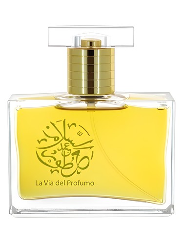 Oud Beyond by Abdes Salaam Attars Perfumes
