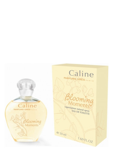 caline parfum fleur noir