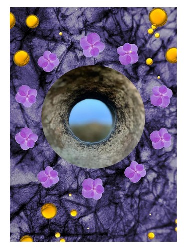 Crown Of Violets ånd fragrances