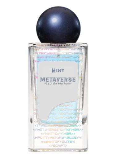 Metaverse Hint