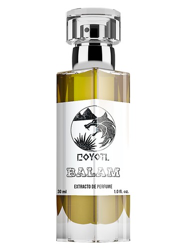 Balam Coyotl