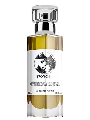 Chipehua Coyotl