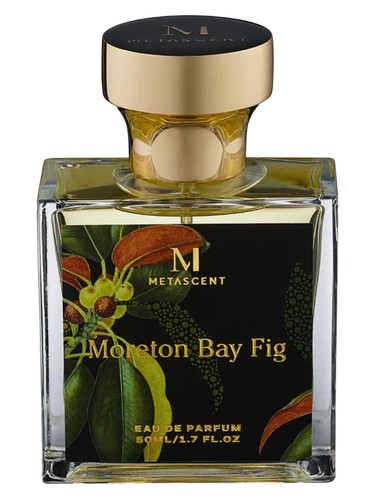 MetaScent Moreton Bay Fig