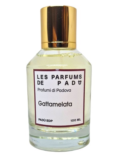 Gattamelata Padù
