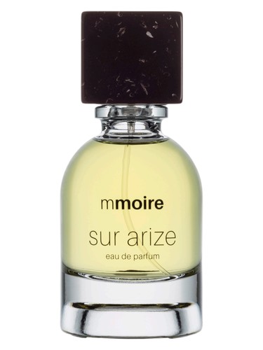Sur Arize Mmoire