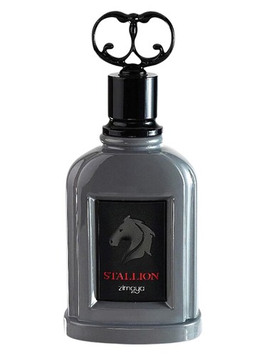 Stallion Zimaya