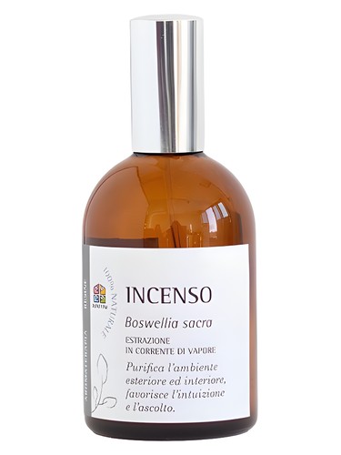Incenso by Olfattiva